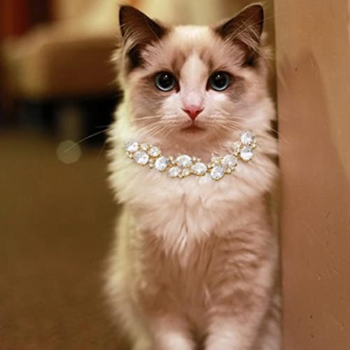 Wlpetty Temel köpek tasması Ayarlanabilir kedi tasması Bling Diamante Yavru Kedi ve Küçük Köpek Yavrusu için 18 K