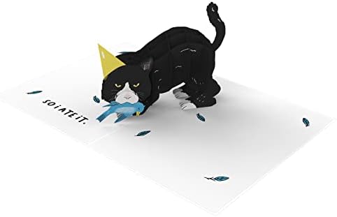 MERKEZİ 23 Pop Up Doğum Günü Kartları Kadınlar ve Erkekler İçin - 3D Pop Up Cards for Cat Lovers-Komik Kedi Doğum