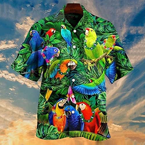 HDDK 2022 Yeni Erkek Hawaii Gömlek, Yaz Kısa Kollu Tropikal Palmiye Ağacı Baskı Aloha Üstleri Düğme Aşağı Plaj Gömlek