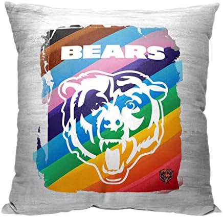 Kuzeybatı Şirket NFL Chicago Bears Yastık, 18 x 18, Gurur Fırçası