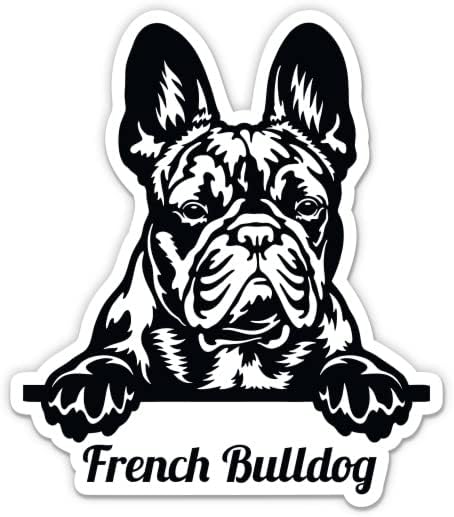 Fransız Bulldog Siyah ve Beyaz Etiket - 5 laptop etiketi-Su Geçirmez Vinil Araba, Telefon, Su Şişesi-Frenchie Köpek