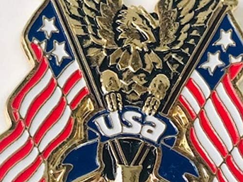 3 X 2.25 inç Kartal ABD Bayrağı Metal Altın Kırmızı Beyaz Mavi Mini Madalyon Harley Sportster Sissy Bar Arkalığı Davidson