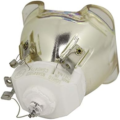 Lytio Premium Chrıstıe 003-102385-01 için Projektör Lambası 003-10238501 (Orijinal OEM Ampul)