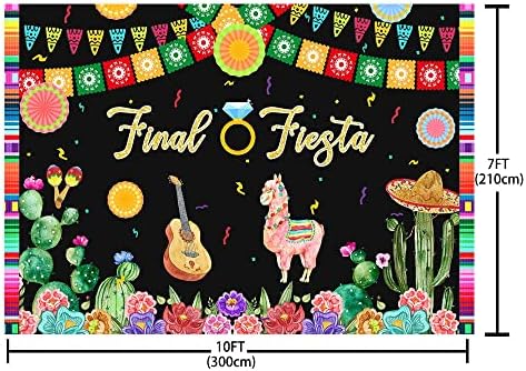 ABLİN 10x7ft Taco Bout Bir Parti Zemin Renkli Bayraklar Kaktüs Fotoğraf Arka Plan Bebek Duş Süslemeleri Meksika Fiesta