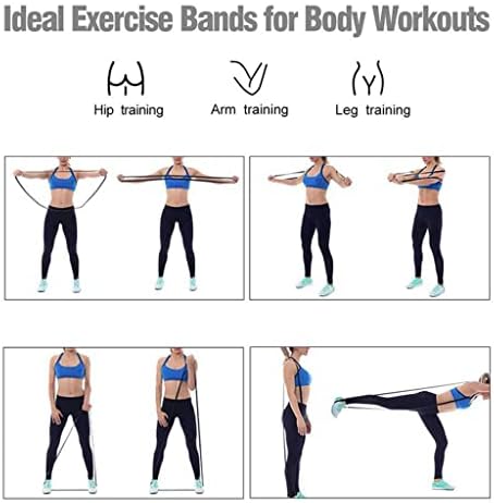 XXXDXDP Uzun örgülü direnç band spor egzersiz elastik bant yoga gerginlik bandı gücü eğitim spor yardım (Renk : D,