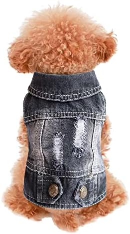 Yaz giysileri Köpekler için Küçük Moda Serin Jean Köpek Gömlek Ceket Yelek Nefes Bahar Giyim Küçük Kediler Köpekler