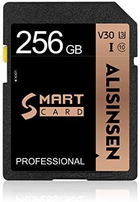 256GB SD Kart Yüksek Hızlı Sınıf 10 Hafıza Kartı 256GB Güvenli Dijital Kartlar için vücut kamerası ,Tabletler ve Dronlar
