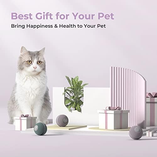 Cheerble [3 Etkileşimli Mod Akıllı Etkileşimli Kedi Oyuncağı, Kapalı Kedi Yavrusu Doğum Günü Hediyesi için Otomatik