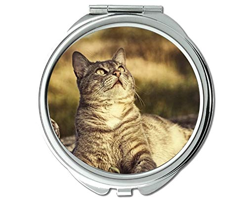 Cep Aynası,Erkekler/Kadınlar için Yavru Tırmık kedi aynası, 1 X 2X Büyüteç